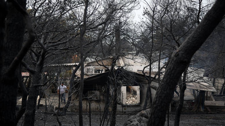 Ακόμα ένας θάνατος από τις πυρκαγιές, στα 88 τα θύματα