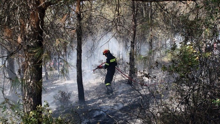 Πυρκαγιά και στη Λευκίμη του δήμου Σουφλίου