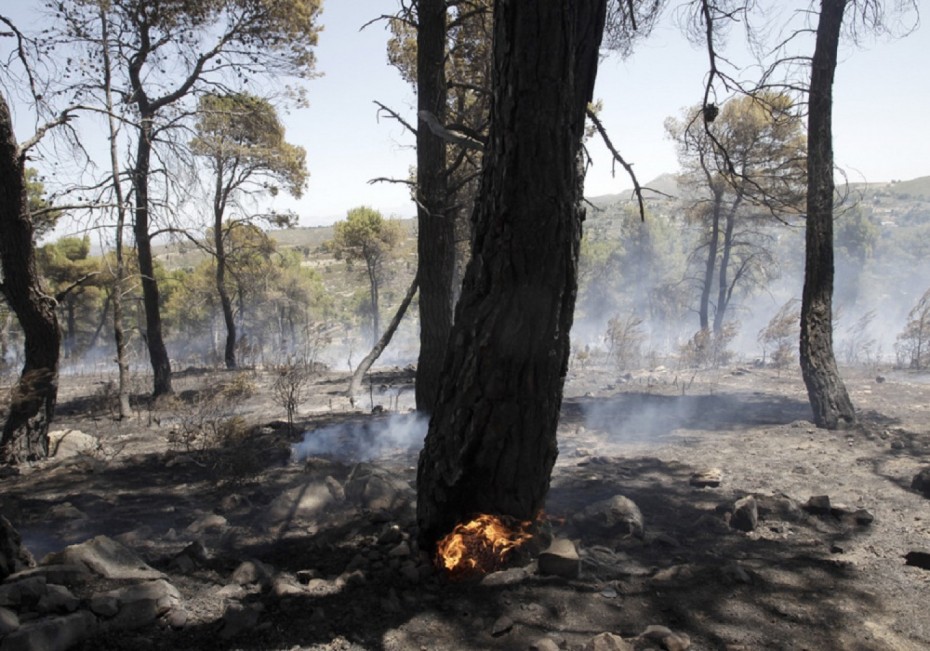 Σύλληψη 32χρονου για εμπρησμoύς στην Εύβοια