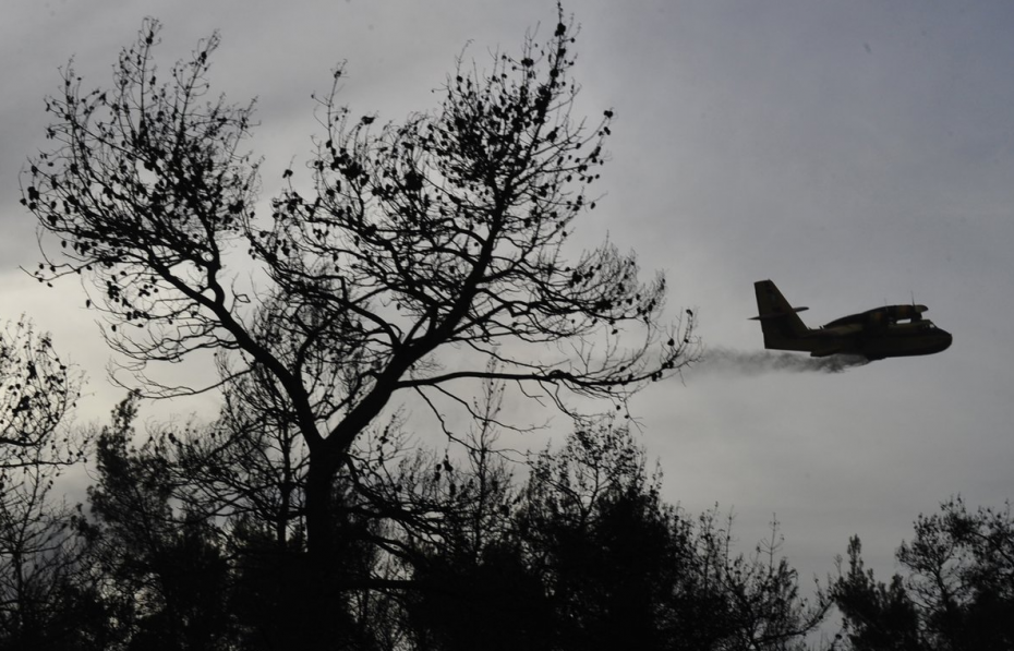 Στάχτη πάνω από 12.000 στρέμματα στην Εύβοια