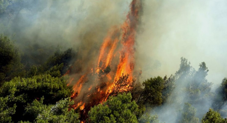 Υπό μερικό έλεγχο οι πυρκαγιές σε Σχοινιά και Σάμο