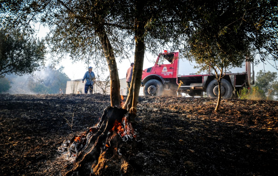 Μεγάλη πυρκαγιά στις Ροβιές της Εύβοιας