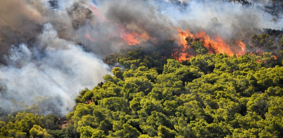 Σε ύφεση η πυρκαγιά στον δήμο Σαρωνικού