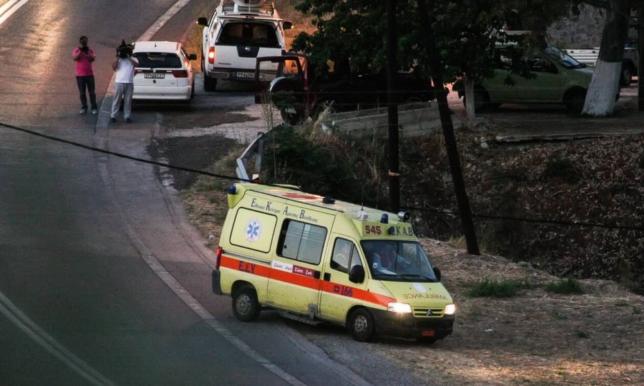 Λεχαινά: Νεκρός φύλακας συσκευαστηρίου από επίθεση σκύλων