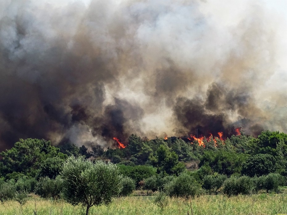 Φωτιά στην Αν. Μάνη: Κάηκαν σπίτια - Μάχη σώμα με σώμα δίνουν οι πυροσβέστες [Φωτό-Βίντεο]