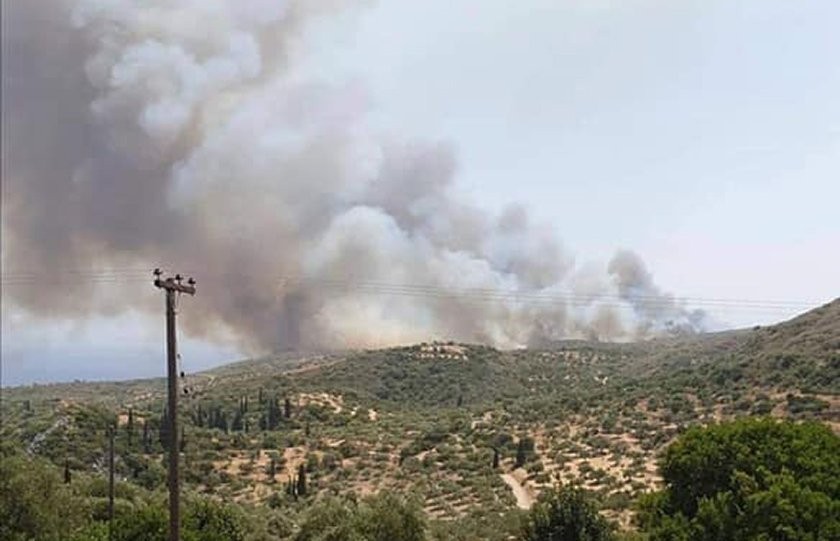 Φωτιά στη Μάνη: Κοντά στο μοναστήρι της Παναγίας Γιάτρισσας οι φλόγες [Βίντεο]