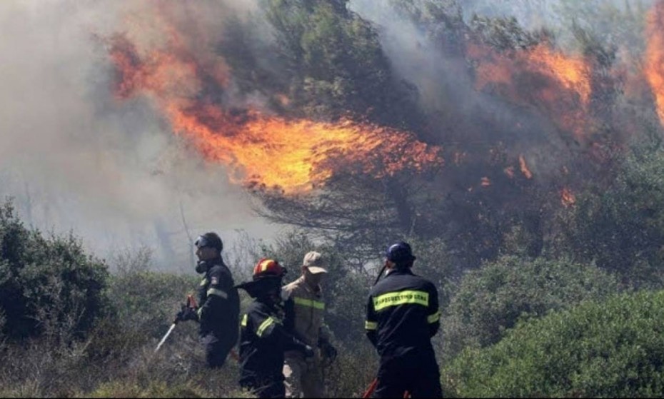 Πυρκαγιά στη Φθιώτιδα: Απομακρύνονται κάτοικοι και στη Μαλεσίνα