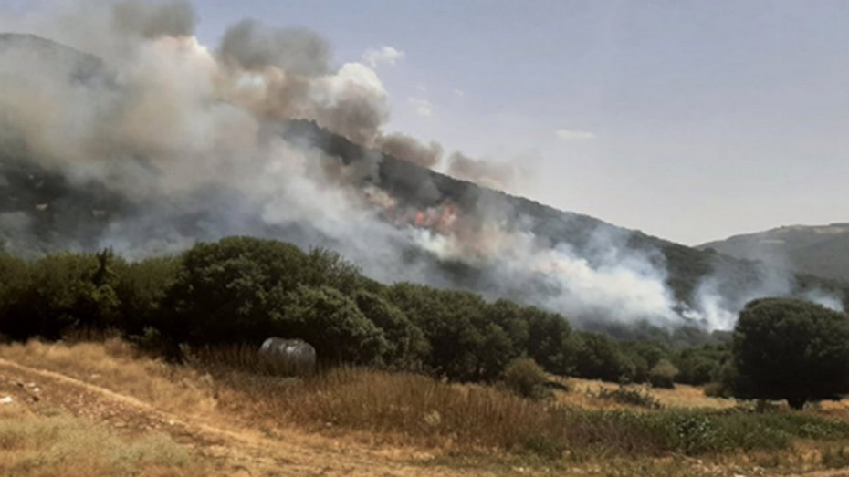 Καλή εικόνα εμφανίζει η πυρκαγιά στον δήμο Δεσκάτης Γρεβενών