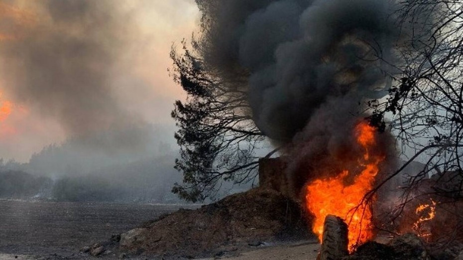 Εύβοια: Ολονύχτιο θρίλερ με τις αναζωπυρώσεις - Καπνός παντού