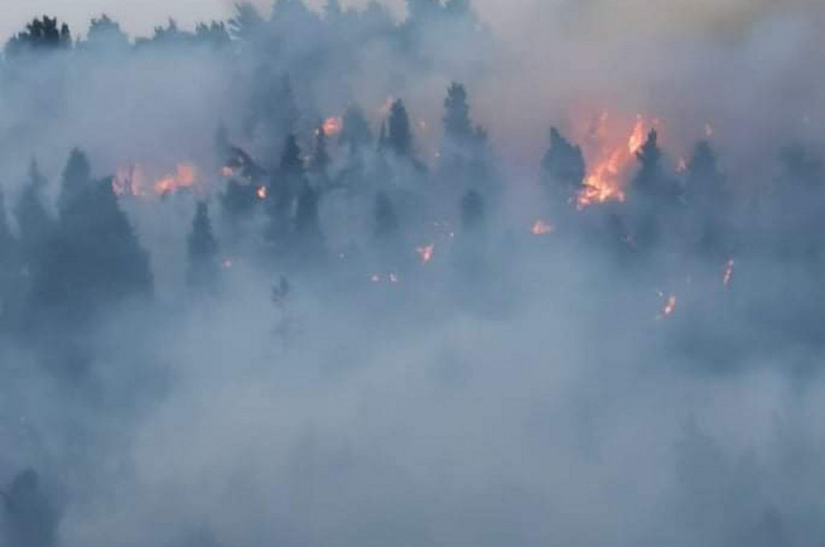 Χαλκιδική: Βελτιωμένη εικόνα από τη φωτιά στην περιοχή Μόλα Καλύβα