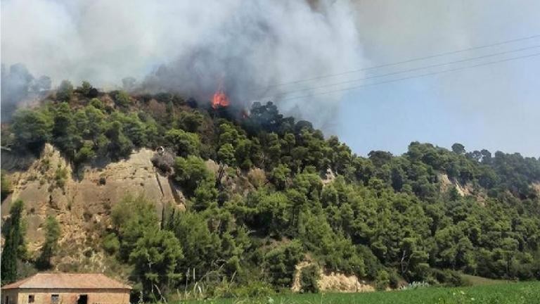 Σε εξέλιξη φωτιά στην περιοχή Άγναντα της Αμαλιάδας